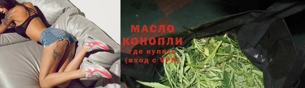 индика Михайловка