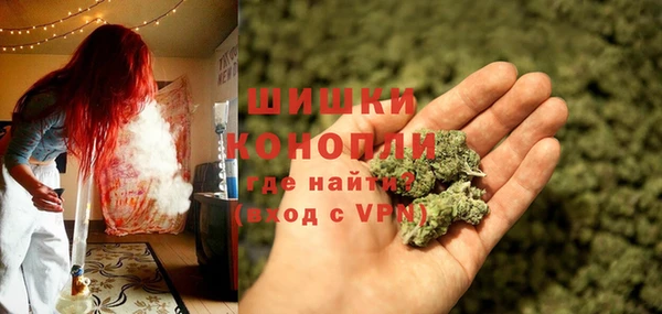 индика Михайловка